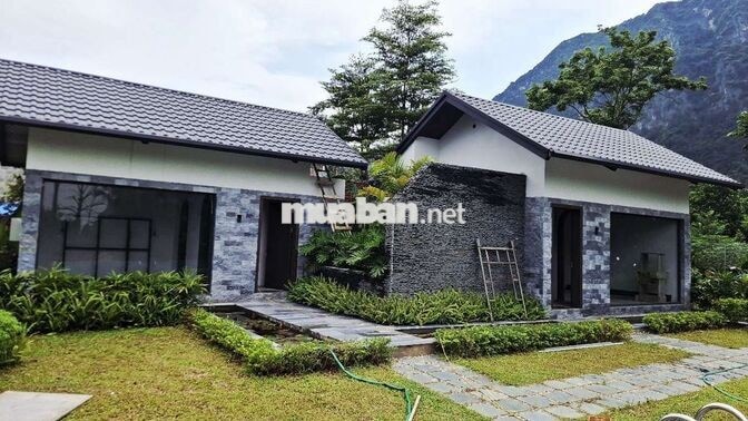 Chính chủ bán Villa nghỉ dưỡng 1000m² có 200m² thổ cư.