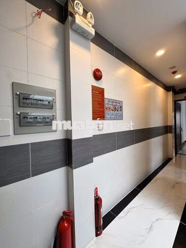 🤫 STUDIO "BÓC SEAL" DƯƠNG QUẢNG HÀM: MÁY GIẶT RIÊNG, CỬA SỔ TRỜI