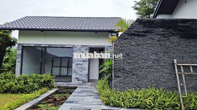 Chính chủ bán Villa nghỉ dưỡng 1000m² có 200m² thổ cư.