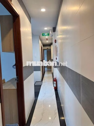 🤫 STUDIO "BÓC SEAL" DƯƠNG QUẢNG HÀM: MÁY GIẶT RIÊNG, CỬA SỔ TRỜI