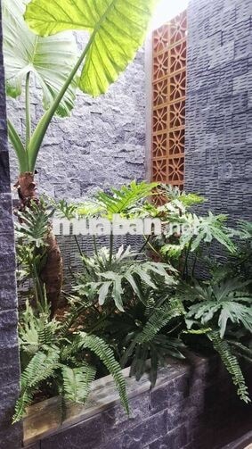 Chính chủ bán Villa nghỉ dưỡng 1000m² có 200m² thổ cư.