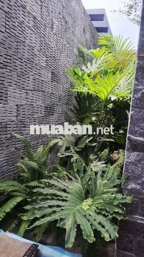 Chính chủ bán Villa nghỉ dưỡng 1000m² có 200m² thổ cư.