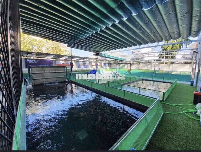 cần bán lô đất 525.6m2 Nguyễn Văn Linh
