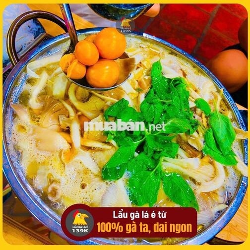 [***] 02 NAM PHỤ BẾP - LẨU GÀ LÁ É  TÂN PHÚ