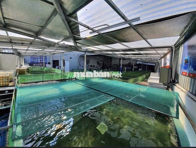 cần bán lô đất 525.6m2 Nguyễn Văn Linh