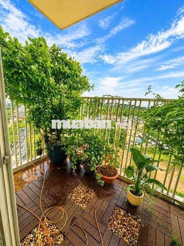 CHO THUÊ CĂN HỘ CANARY HEIGHTS – BLOCK C