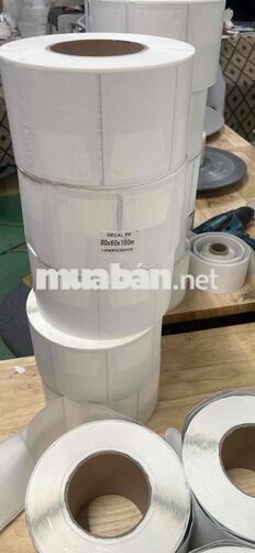 TUYỂN CÔNG NHÂN TRÔNG MÁY, ĐÓNG GÓI