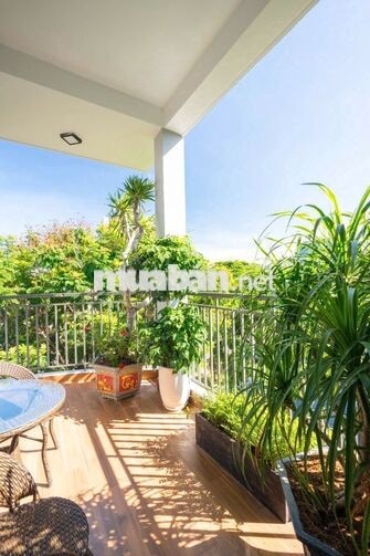 ✨ CĂN HỘ 1 PHÒNG NGỦ | ĐƯỜNG HỒ XUÂN HƯƠNG ✨