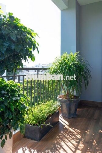 ✨ CĂN HỘ 1 PHÒNG NGỦ | ĐƯỜNG HỒ XUÂN HƯƠNG ✨
