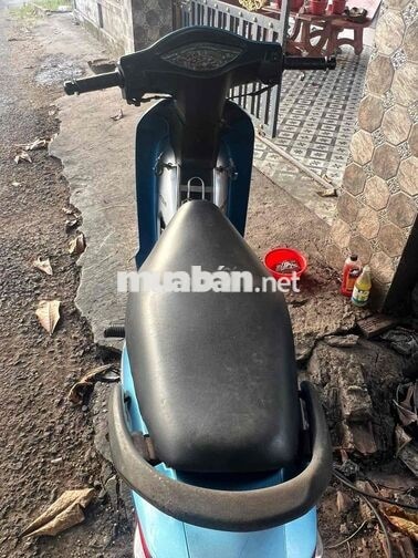Honda Wave 2024 Xanh