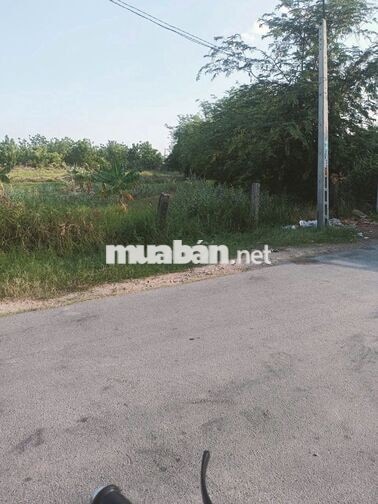 BÁN GẤP đất thổ cư mặt tiền đường rộng Phước Dân Ninh Thuận