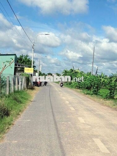 hàng thơm, 171m² đất thổ cư đường nhựa nguyễn văn mỹ chỉ 900tr