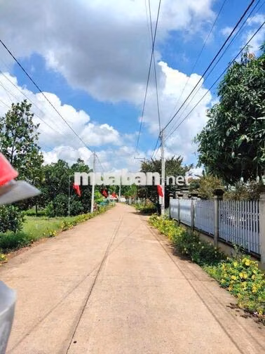 Ngang 8 dài 40 ngay TTHC Xã Phước thành,sát cụm kcn An Bình chỉ 790tr