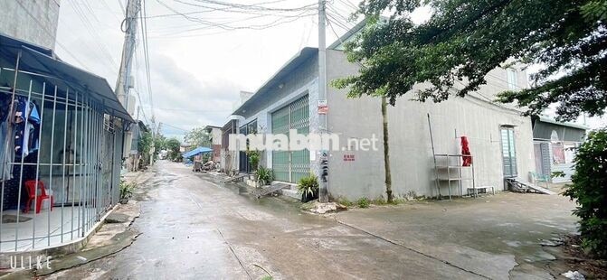 Bán lô đất 100m2 1ty2 Ngay Chợ Thiên Bình SHR full thổ cư P.Tam Phước