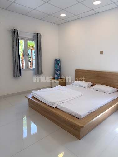 Cần cho thuê homestay 3000m2 tại thị trấn đức hoà ,long an