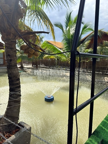 Cần cho thuê homestay 3000m2 tại thị trấn đức hoà ,long an