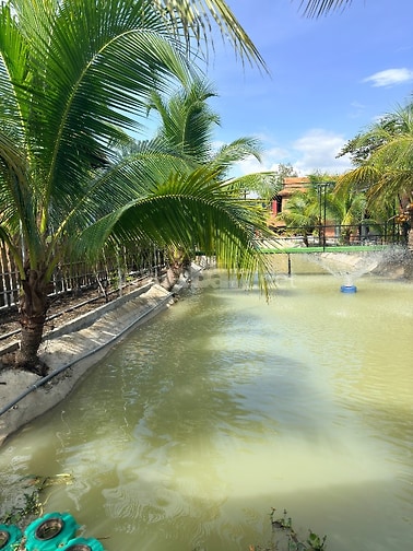 Cần cho thuê homestay 3000m2 tại thị trấn đức hoà ,long an