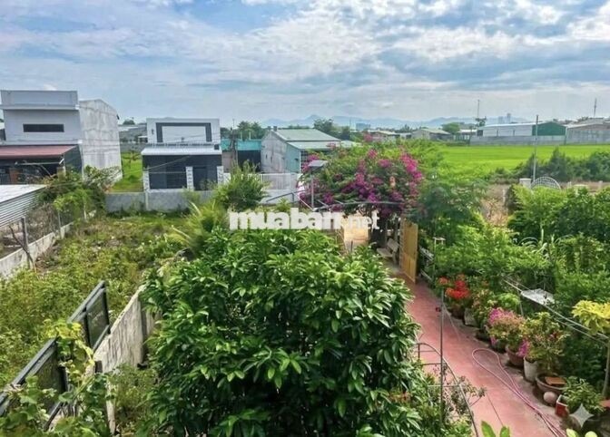 kẹt tiền bán gấp nhà vườn 4371m2 ngay TĐC Long Bình, oto vào tận nơi