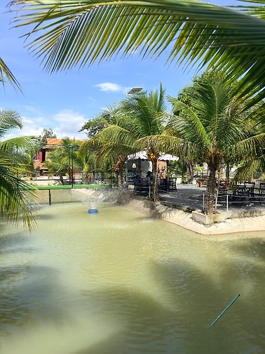 Cần cho thuê homestay 3000m2 tại thị trấn đức hoà ,long an