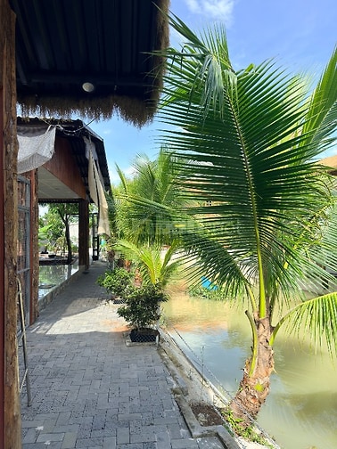 Cần cho thuê homestay 3000m2 tại thị trấn đức hoà ,long an