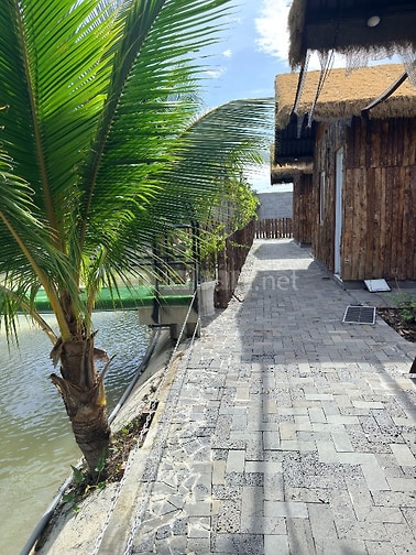 Cần cho thuê homestay 3000m2 tại thị trấn đức hoà ,long an