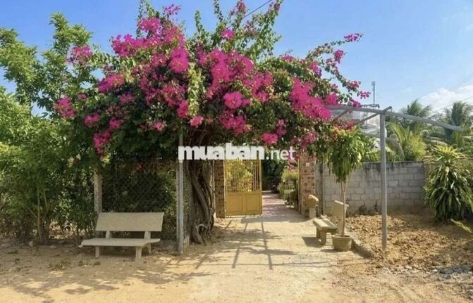 kẹt tiền bán gấp nhà vườn 4371m2 ngay TĐC Long Bình, oto vào tận nơi