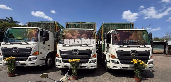 TUYỂN TÀI XẾ BẰNG C 