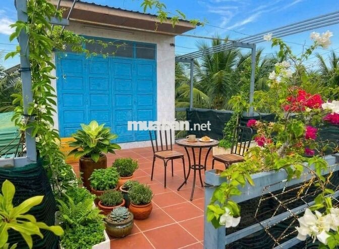 kẹt tiền bán gấp nhà vườn 4371m2 ngay TĐC Long Bình, oto vào tận nơi