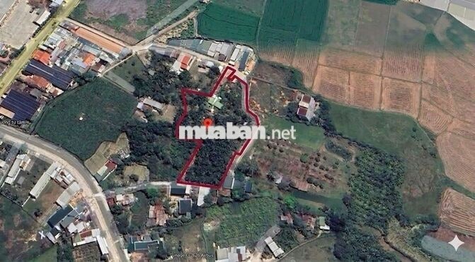 kẹt tiền bán gấp nhà vườn 4371m2 ngay TĐC Long Bình, oto vào tận nơi