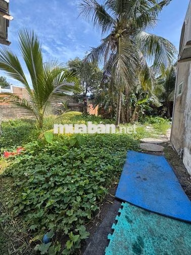 8.99 TỶ  NHÀ VƯỜN  504 M² SHR  – HẺM XE TẢI _ĐỖ VĂN DẬY_HOC MÔN
