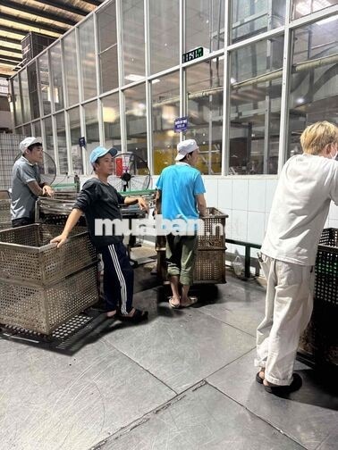 công ty nước ngọt ca cố định 12 tiếng bao cơm