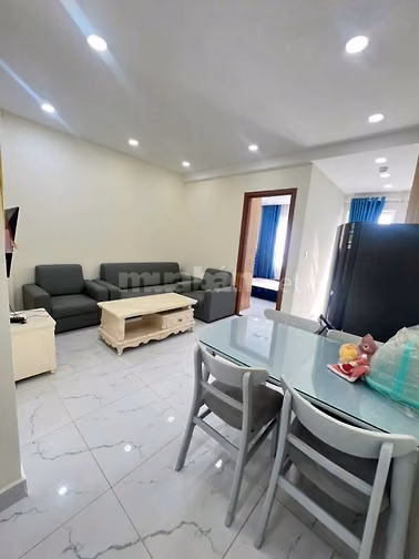 Chung cư Ruby, Nguyễn Sỹ Sách, TB: 1PN, Full NT, 7,6triệu, 55m2