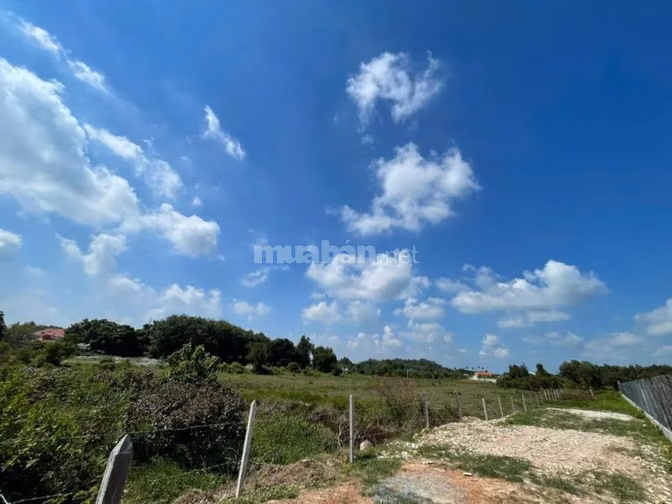 Công ty Đấu giá hợp danh Lam Sơn Sài Gòn THÔNG BÁO ĐẤU GIÁ TÀI SẢN