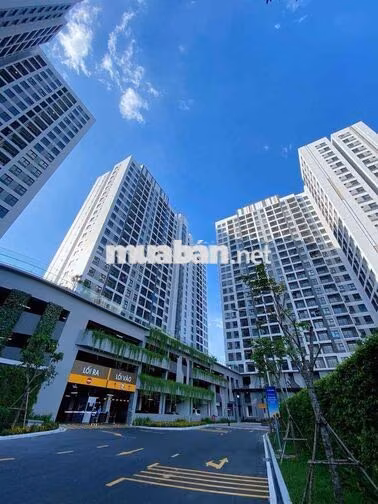 🔥 Cho Thuê Căn Hộ 1PN The Privia – Giá Tốt, Nhà Mới