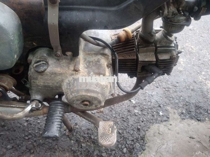 Honda Dame Xám Đã sử dụng