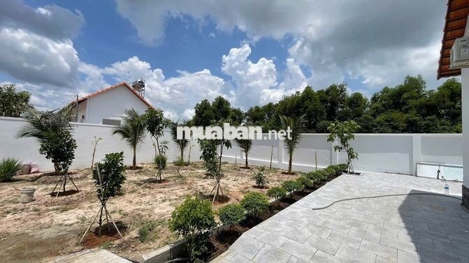 Nhà vườn Thái Mỹ 617m2 (26x21 )sổ hồng riêng giá 1ty5