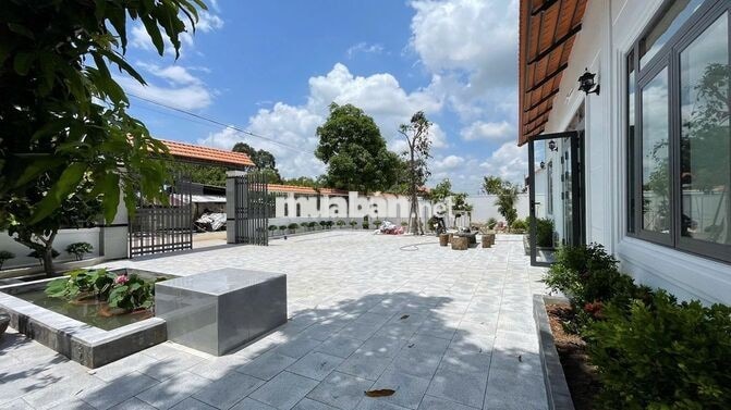 Nhà vườn Thái Mỹ 617m2 (26x21 )sổ hồng riêng giá 1ty5