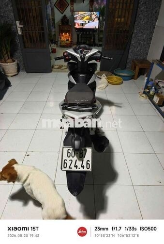 Honda Winner V1 Bạc porcher