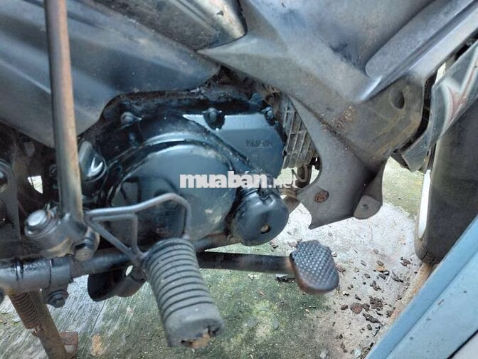 Yamaha Taurus zin Nhật Bản