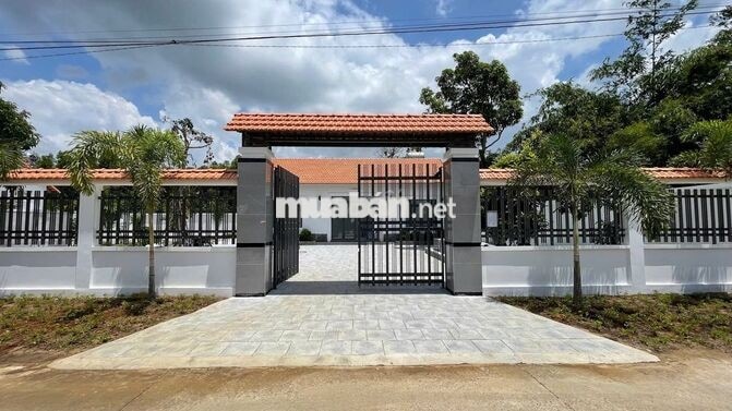 Nhà vườn Thái Mỹ 617m2 (26x21 )sổ hồng riêng giá 1ty5