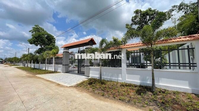 Nhà vườn Thái Mỹ 617m2 (26x21 )sổ hồng riêng giá 1ty5