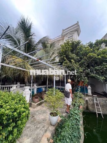 Cho Thuê Nguyên Biệt Thự DT 800m2 1Trệt 3Lầu 6Pn 5Wc Sân Vườn Y Hình