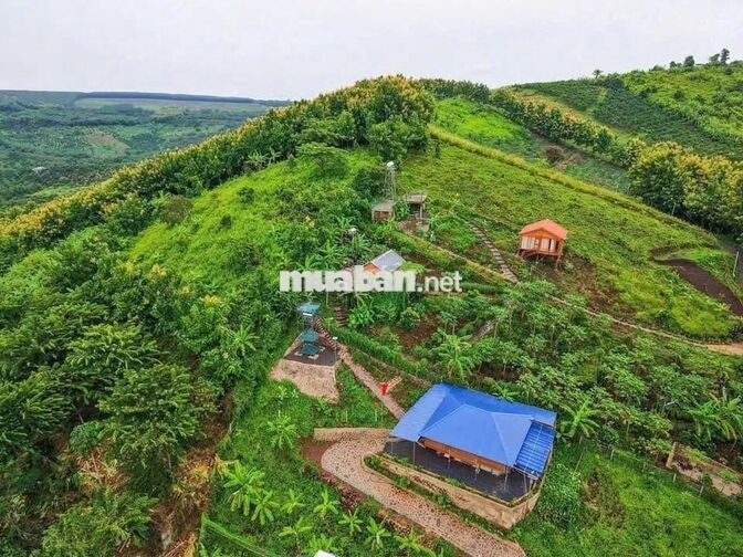 🌿 LA NGÀ – 1.200m² ĐẤT VƯỜN GẦN HỒ TRỊ AN, CHỈ 500 TRIỆU - HT BANK