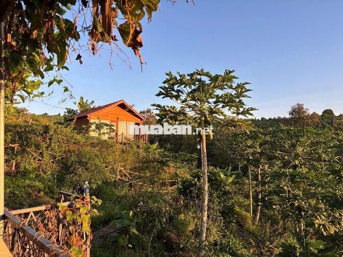 🌿 LA NGÀ – 1.200m² ĐẤT VƯỜN GẦN HỒ TRỊ AN, CHỈ 500 TRIỆU - HT BANK