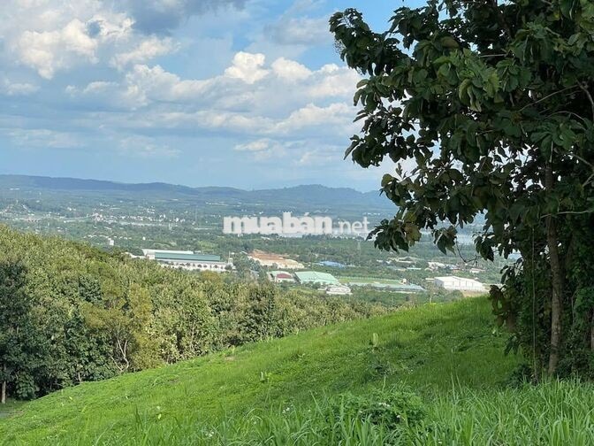 🌿 LA NGÀ – 1.200m² ĐẤT VƯỜN GẦN HỒ TRỊ AN, CHỈ 500 TRIỆU - HT BANK
