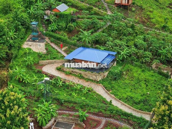 🌿 LA NGÀ – 1.200m² ĐẤT VƯỜN GẦN HỒ TRỊ AN, CHỈ 500 TRIỆU - HT BANK