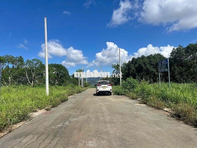 Ngân hàng Thanh lý BĐS tại xã Mê Linh,  huyện Lâm Hà, tỉnh Lâm Đồng -