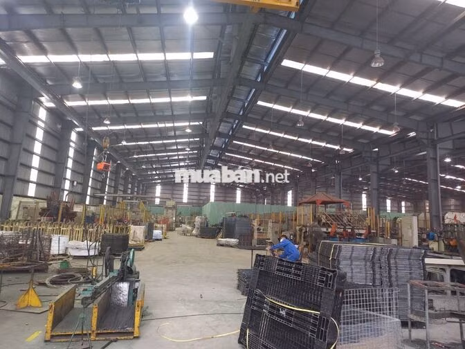 🔥 CHO THUÊ KHO 2.000M² TẠI SƠN TRÀ – ĐÀ NẴNG | GIÁ CHỈ 55K/M²