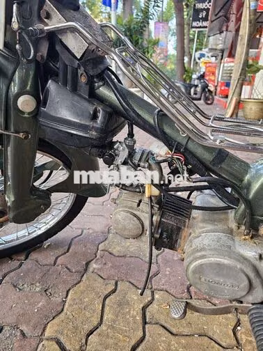 Honda Cup 81 50cc Xanh rêu đã sử dụng