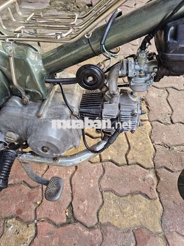 Honda Cup 81 50cc Xanh rêu đã sử dụng